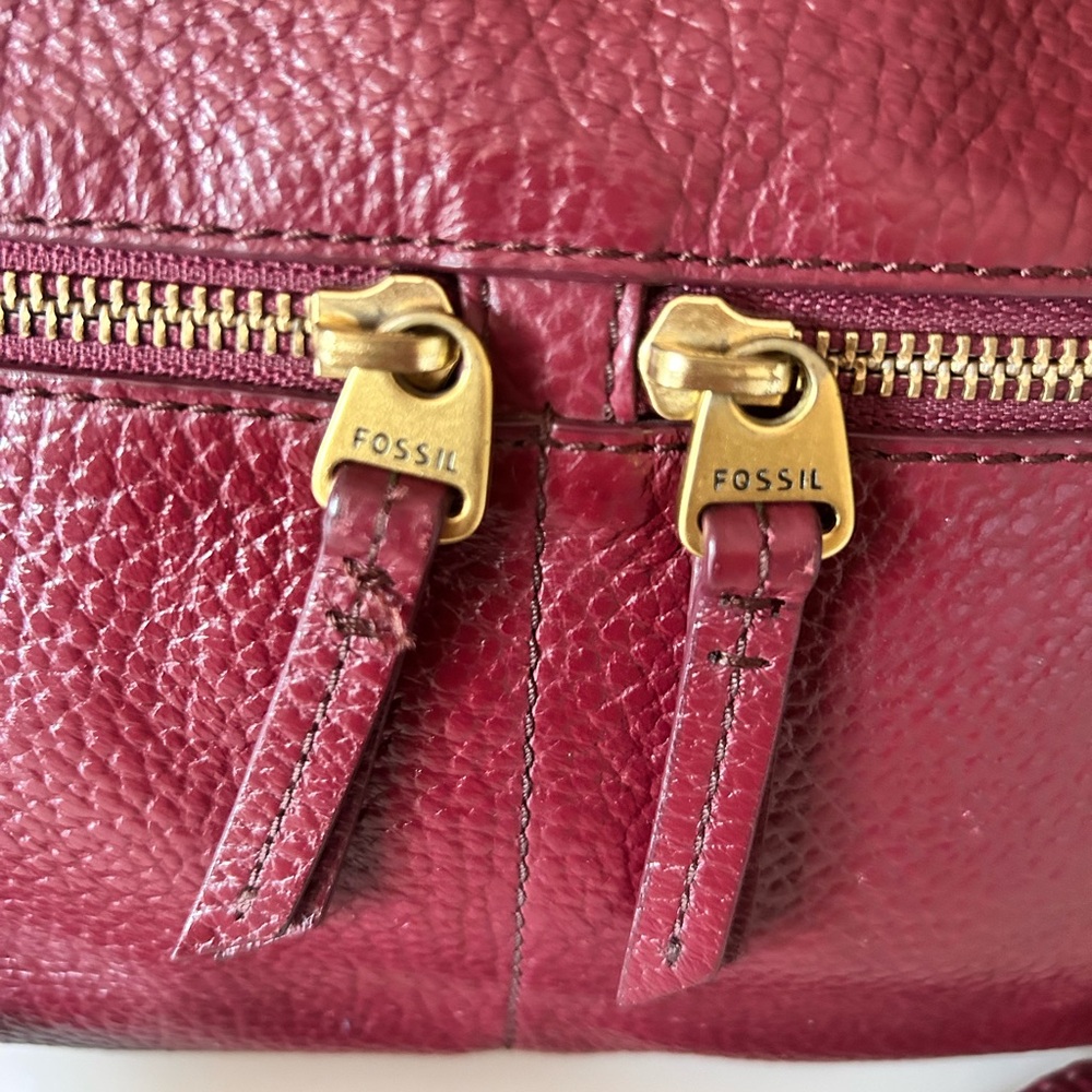 Fossil Pebbled Leather Crossbody Bag in Burgundy - Picture 2 of 10